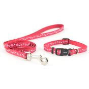 Small Bite Puppy Collar &amp;amp; Lead Set - Red image