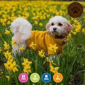 Cable Knit Dog Jumper - Mustard image