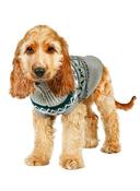 Vintage Fair Isle Dog Jumper - Grey
