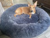 Beddies Calming Dog Bed - Charcoal image