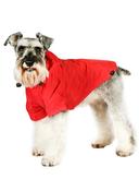 Urban Pup Sport Dog Rain Jacket image