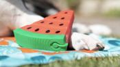 Watermelon Ice Toy for Dogs image