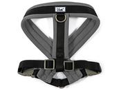 Viva Padded Harness - Black image