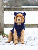 Cupid &amp;amp; Comet Teddy Bear Dog Hoodie image