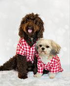 Cupid &amp;amp; Comet Christmas Dog Pyjamas