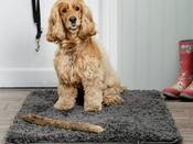 Pet Rebellion Cosy Dog Rug