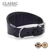 Ancol Padded Whippet Collar