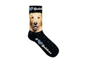 Golden Retriever Dog Socks image