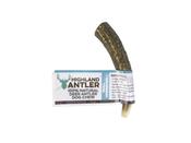 Antler Dog Chew Natural Stagbar image