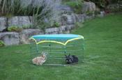 Kerbl Small Animal Run image