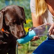 Nobby Travel Water Bottle 2 in 1 - Blue