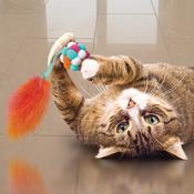 Kong Active Bubble Cat Toy image