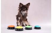 Flamingo Audio Command Dog Buttons