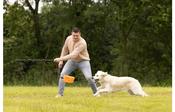 Flamingo Telescopic Training Dog Toy