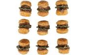 Flamingo Fast Food Hamburger Dog Treats image