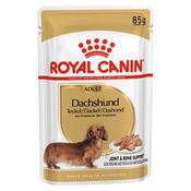 Royal Canin Dachshund Wet Food Pouches 85g (Each) image