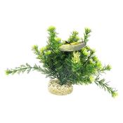 Aqua Dreamscapes Colour Pearl Plant 21cm image