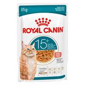 Royal Canin Ageing 15+ Pouches in Gravy for Cats 85g (Each) image