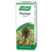 A.VOGEL Plantago 50ml