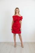 Anissa Dress image