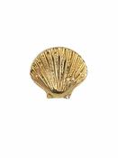 BVLA Seashell Threaded Stud Earring, 14k Yellow Gold image