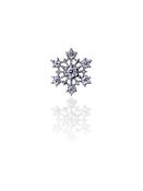 FoesJewelry Snowflake Threaded Stud Earring, Pointy, 14k White Gold image