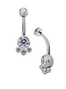 Paw Print Belly Bar, Titanium image