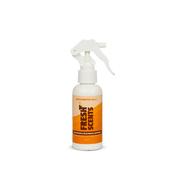 Autobrite Direct Sandalwood/Safron 100ml Air Freshener