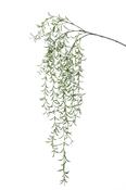 Artificial Hoya hanging spray 120cm image