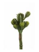 Artificial Cactus 18cm green image