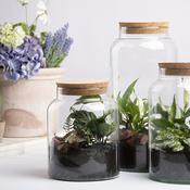 Esschert Design Half Open Terrarium Bottle image