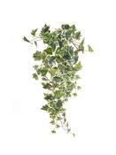 Artificial Ivy Hanging Bush Green/White 70cm image