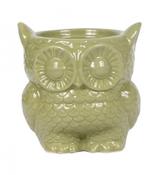 Ceramic Home Owl Pot Green 9cm image