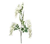 Artificial Wisteria Spray x3 Cream 70cm image