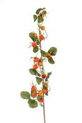 Artificial Rosehip Spray Orange 85cm image