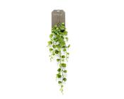 Artificial Hoya kerrii vine 90cm image