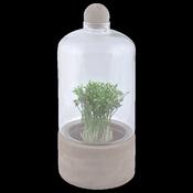 Esschert Design Bottle Terrarium Concrete Base L image