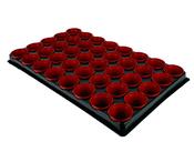 Grow It Seed and Cutting Tray With 40 Pots image