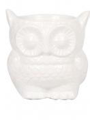 Ceramic Home Owl Pot White 9cm image