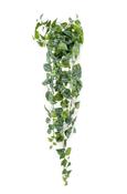 Artificial Scindapsus pictus hanging bush 120cm green/grey image