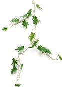 Artificial Philodendron vine 110cm image