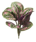 Artificial Calathea bush green/pink 30cm image