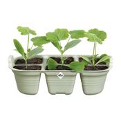 Elho Green Basics Seed Tray 22cm Stone Green image