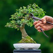 Esschert Design Bonsai Concave Cutter image