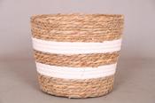 M.24cm(x06)603555 wit streep Basket Pot image