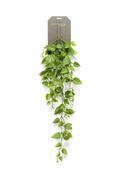 Artificial Philodendron hanging bush 90cm image