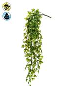Artificial Ivy hanging bush UV resistant 75cm image