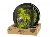 Moss Art Arrangement Mix 29cm image