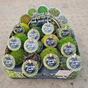 Moss Mix 7cm Growers Pot image