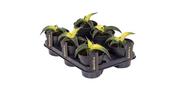 Sansevieria 'Star Canary' 12cm Pot image